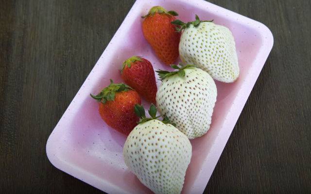 White Jewel – The Japanese White Strawberries Worth Their Weight in Gold