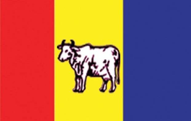 RPP candidate elected in Gaurigunj