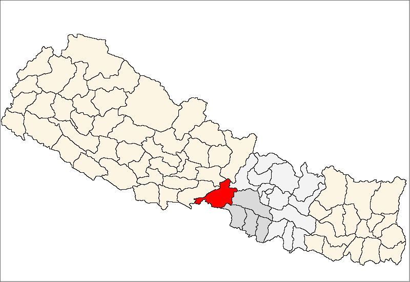 One dies from scrub typhus in Chitwan, over 100 people infected with swine flu