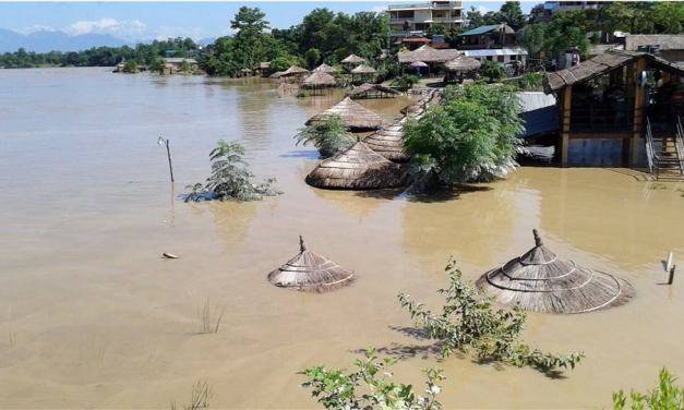 Floodwater breaks into Sauraha's hotels and pubs