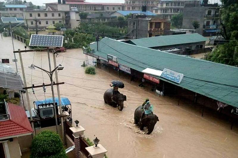 600 tourists trapped in Sauraha due to flooding