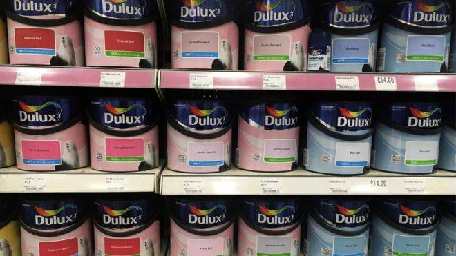 Dulux owner Akzo Nobel strikes truce with activist investor
