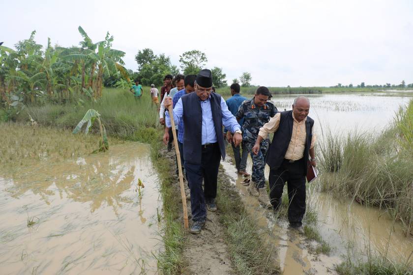 CPN (MC) Chair Dahal urges political parties to unite in time of natural disaster