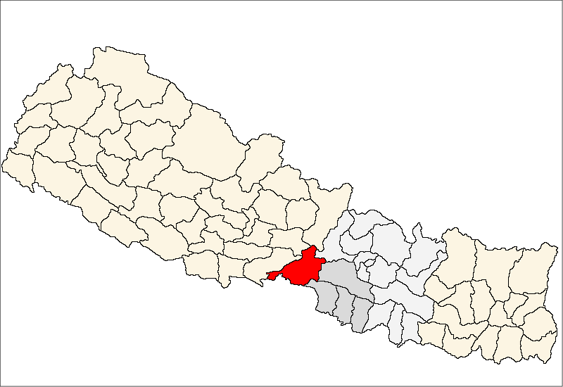 28 scrub typhus infected in two weeks in Chitwan
