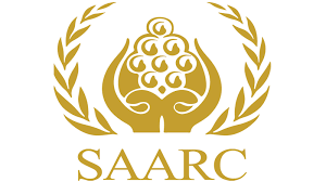 Minister-level meeting positive on holding regional SAARC summit