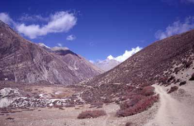 Domestic tourists make most out of Dashain break visiting Manang