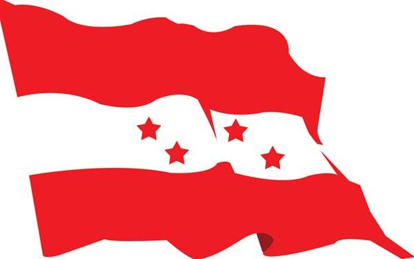 NC forms committee to nominate candidates for coming elections