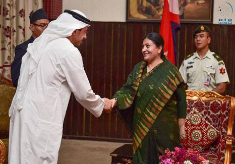 President Bhandari and UAE Speaker hold talks